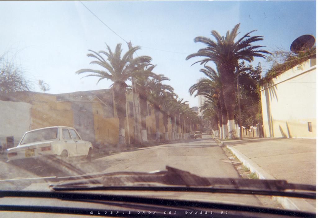 ORAN 2003 02 AVENUE DES PALMIERS ET ANNEXE SUR LA GAUCHE.JPG